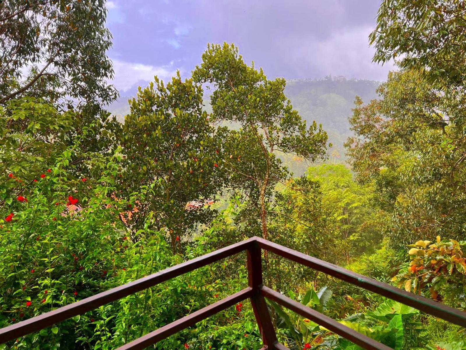 Misty Lake Resorts, Munnar Exterior foto