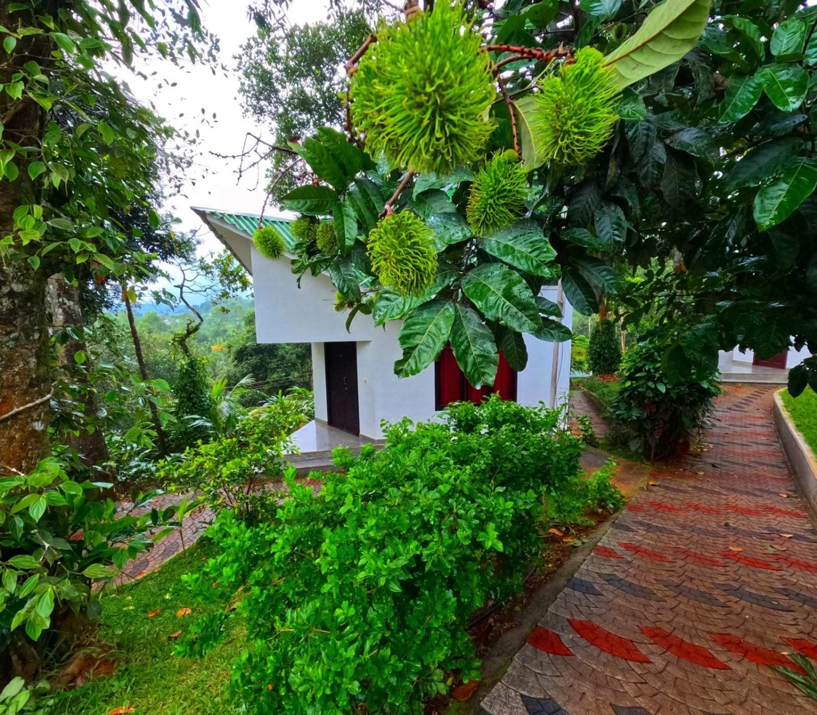 Misty Lake Resorts, Munnar Exterior foto