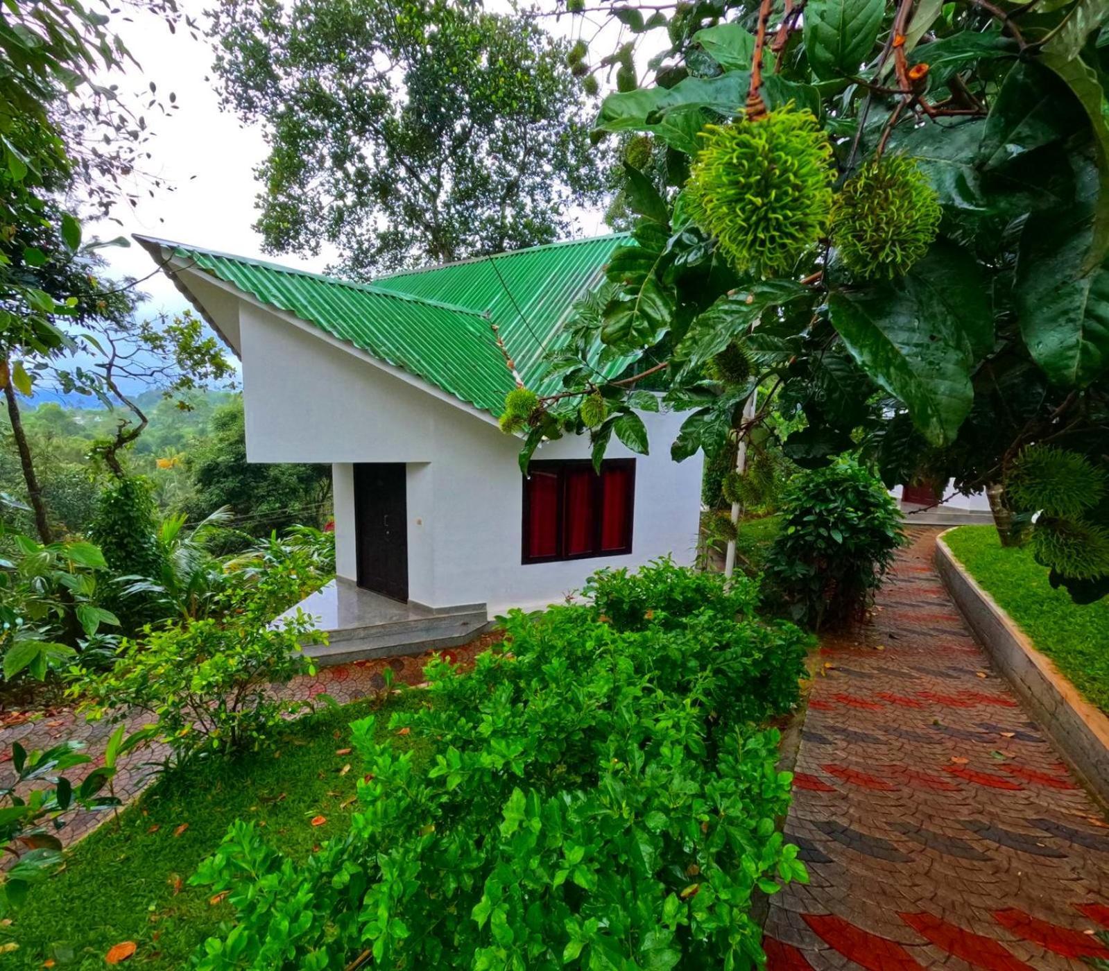 Misty Lake Resorts, Munnar Exterior foto