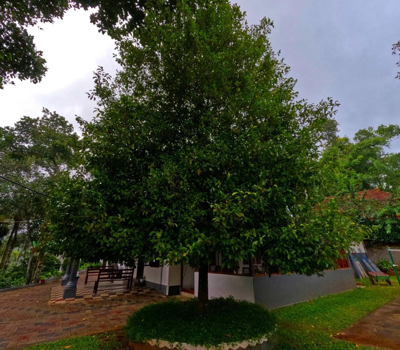Misty Lake Resorts, Munnar Exterior foto