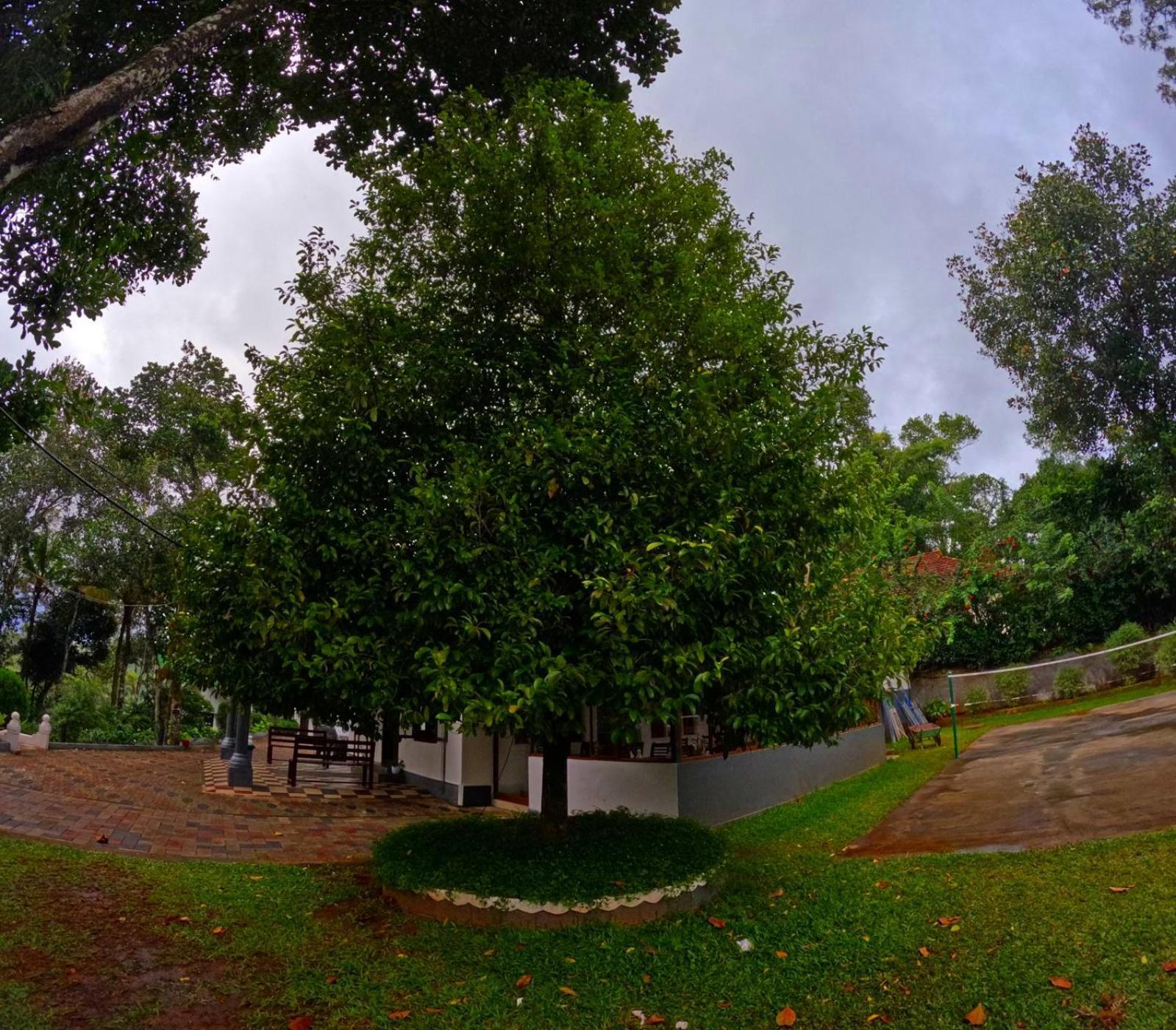 Misty Lake Resorts, Munnar Exterior foto